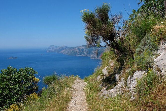 Path of the God and Positano Amalfi private tour - Who This Tour Fits Best (and Who Might Prefer Something Else)