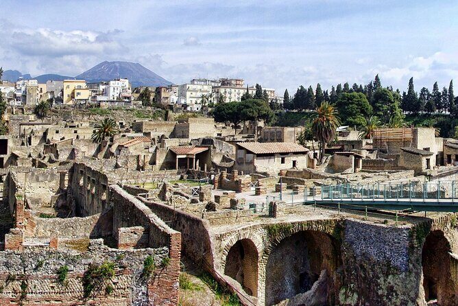 Pompeii and Herculaneum with Wine Tour - Cost and value: $423.99 plus admission, then decide about guides