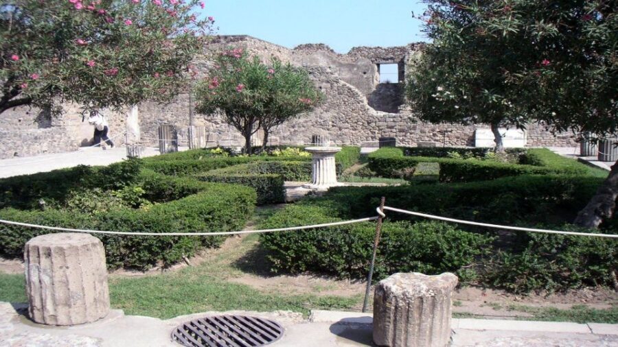 Pompeii Half-Day Coach Tour from Sorrento - Price and Value: Is $79 a Smart Use of Your Time?