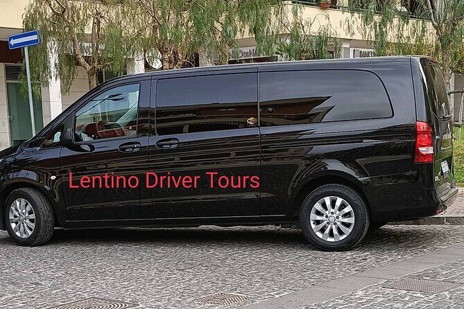 Pompeii Half-Day Tour from Sorrento - Tickets and nominative entry: your job to protect your time