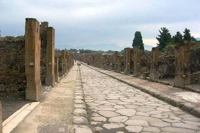 Pompeii Herculaneum - Cantina del Vesuvio: Wine Tasting and a Meal Stop (Check the Details)