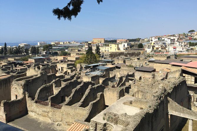 Pompeii-Herculaneum-Wine tour from Sorrento, with licensed guide included - The driver-guide team: why the right partner matters in ruins