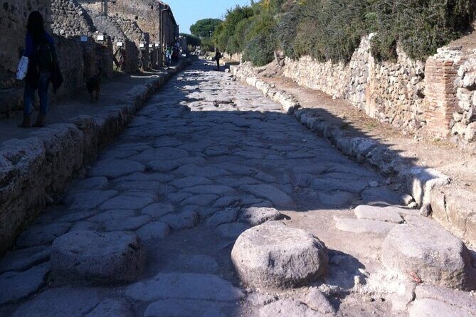 Pompeii, Herculaneum & Wine Tour, with Licensed Guide included - Who should book this Pompeii, Herculaneum & wine tour?