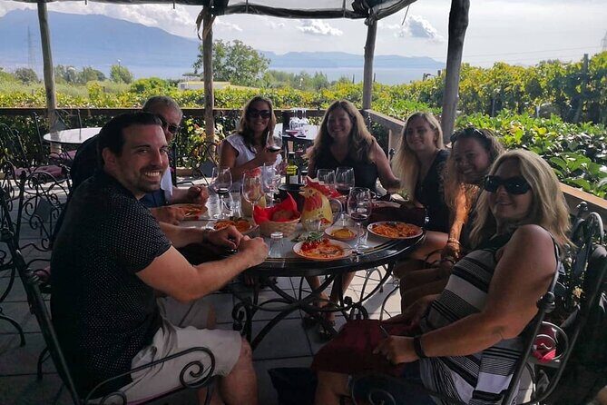 Pompeii, Vesuvius & Wine Tasting - Who This Tour Fits Best