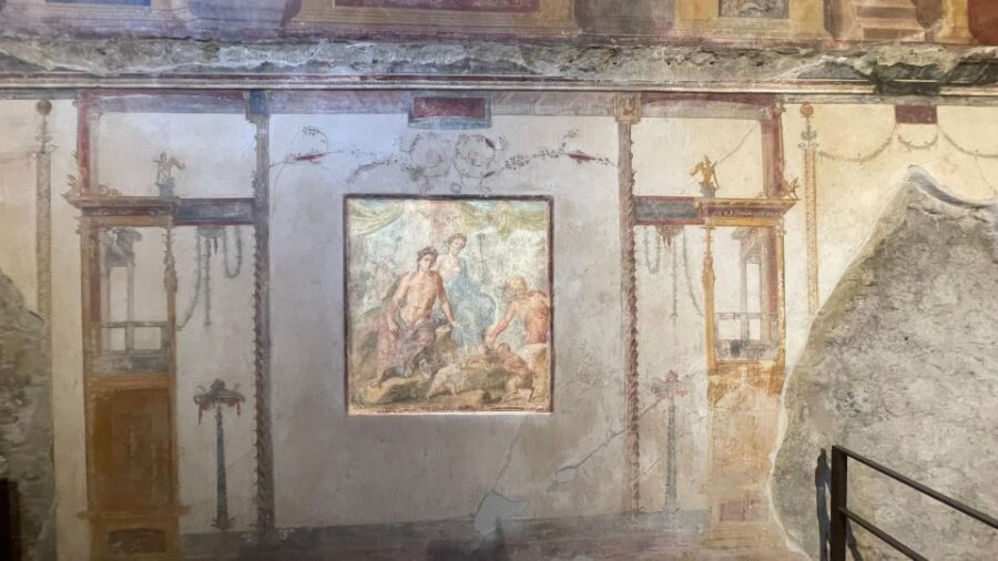 Pompeii-Vesuvius & Winery All Inclusive Tour From Positano - Entering Pompeii and Vesuvius faster: skip-the-line strategy