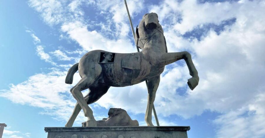 Pompeii-Vesuvius & Winery All Inclusive Tour From Positano - Who this tour suits best (and who should think twice)