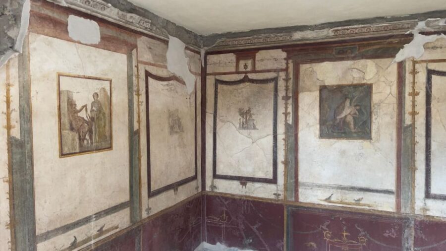 Pompeii-Vesuvius & Winery All Inclusive Tour From Positano - Pickup from your accommodation: how the route affects your day