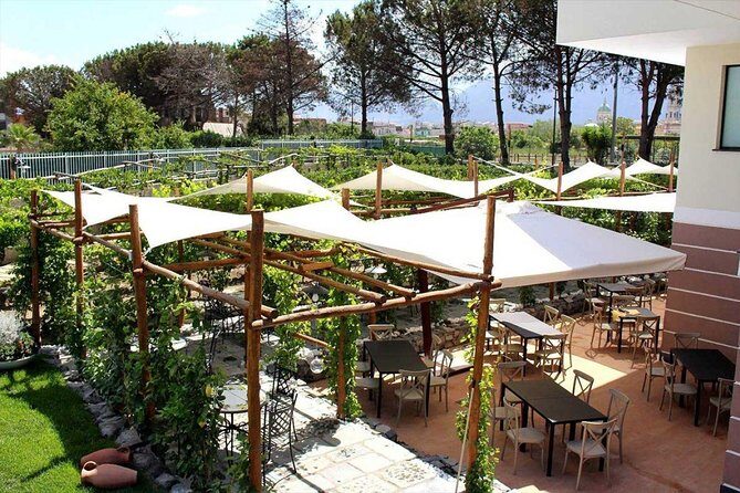 Pompeii & Vesuvius with Wine Tasting from the Coast - Price and value: is $330.19 per person a good deal?