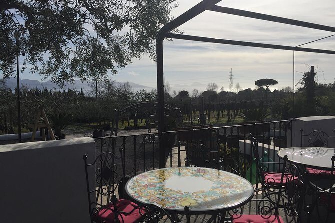 Pompeii-Wine tasting tour from Sorrento, licensed guide included - Who This Tour Fits Best (and Who Might Want to Plan Differently)