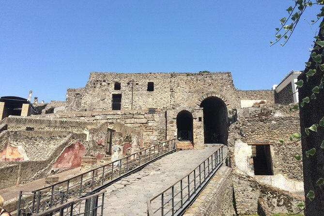 Pompeii-Wine tasting tour from Sorrento, licensed guide included - Should You Book This Pompeii-Wine Tour?