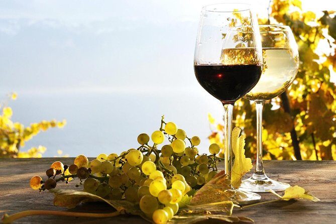 Pompeii & Wine Tour from Sorrento (tickets & lunch not included) - Getting to Pompeii Without the Hassle: Pickup and Private Ride