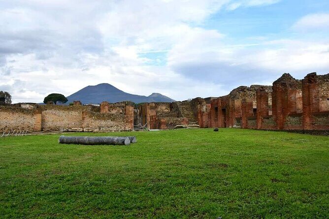 Pompeii & Wine Tour from Sorrento (tickets & lunch not included) - Should You Book This Pompeii and Wine Tour?