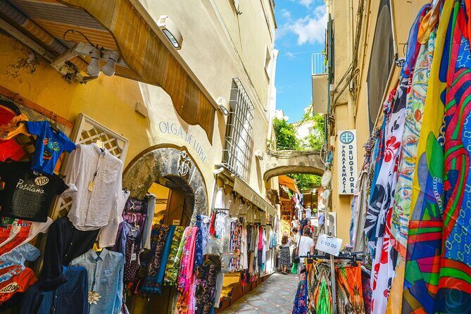 Private Amalfi Coast Tour From Sorrento or Naples - Who should book this Amalfi Coast private tour