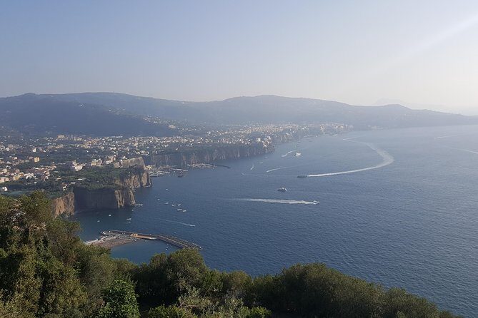 Private day tour to Pompei ,winery, Sorrento from Napoli/Salerno/Amalfi/Positano - Pompeii Morning: Ruins Time + The Optional 2-Hour Guide Upgrade