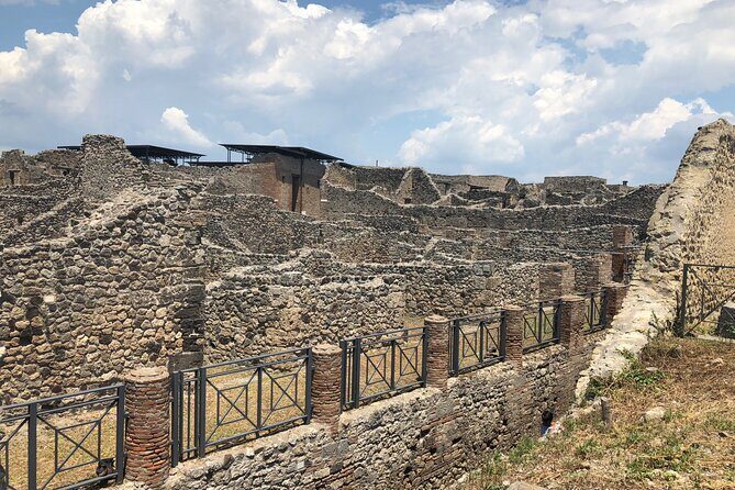 Private Full Day Tour Ruins of Pompei and Wine Tasting Experience - Who this private Pompeii and wine tour suits best