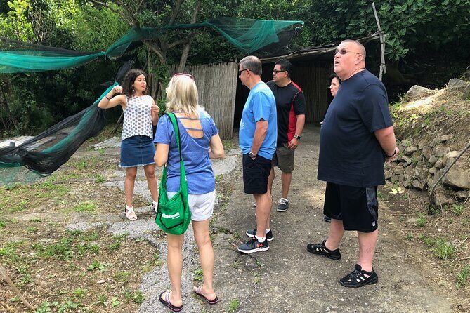 Private Pompeii Tour with lunch and Olive Oil Factory Experience - Private Transport and a Guide Who Keeps Things Moving