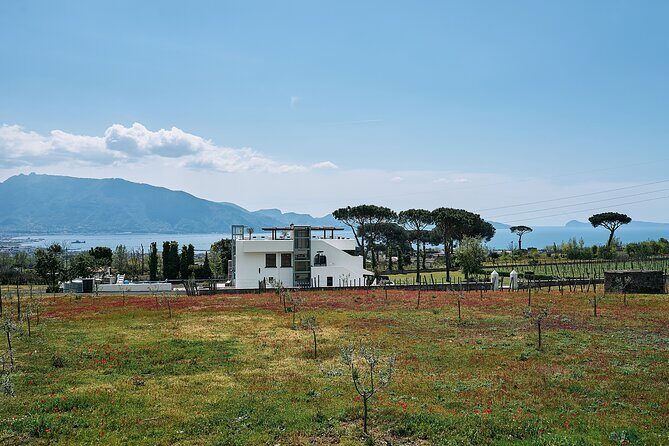 Private Pompeii Tour with Wine Tasting Experience - How much is this really worth at $594.83 per person?