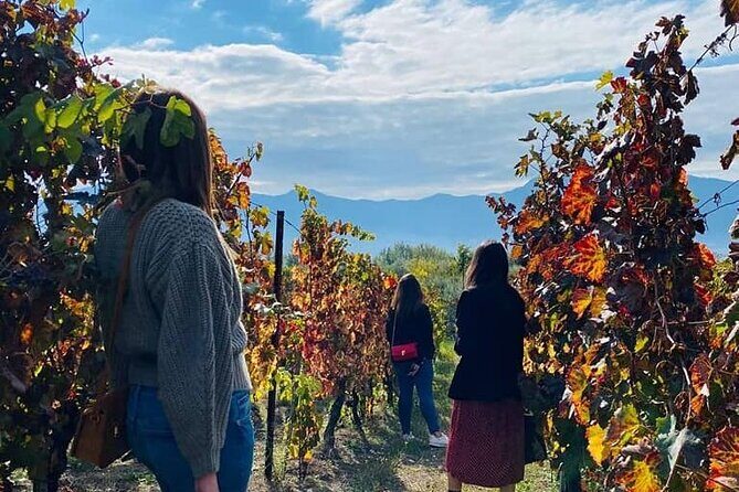 Private Tour in Pompeii Ruins and Pompeii City Center Winery - Stop 3: Pompeii city center and the Sanctuary of the Virgin of the Rosary
