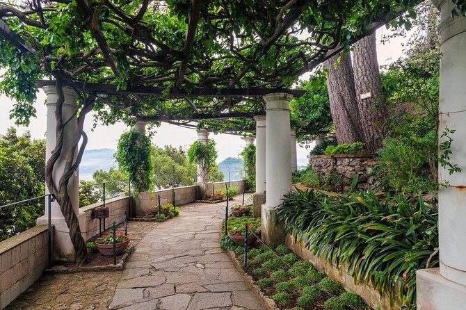 Private Tour of Capri and Anacapri From Sorrento - Villa San Michele: Doctor Axel Munthe’s famous Anacapri retreat
