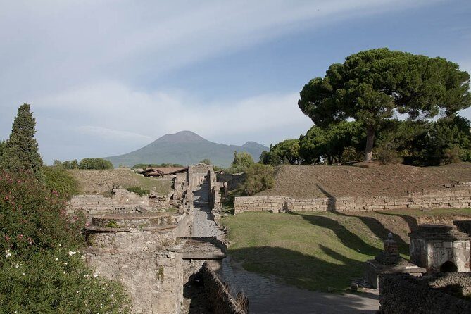 Private tour Pompeii Vesuvius and Winery from Sorrento - Pompeii Archaeological Park: two hours to read daily Roman life