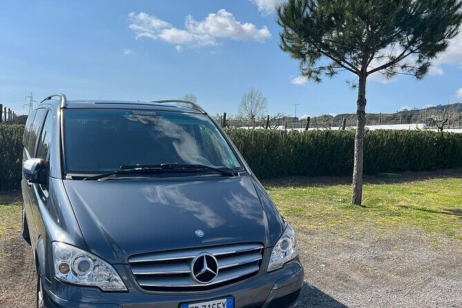 Private Transfer from Positano to Naples Airport - Price and value: $278.09 per group up to 7