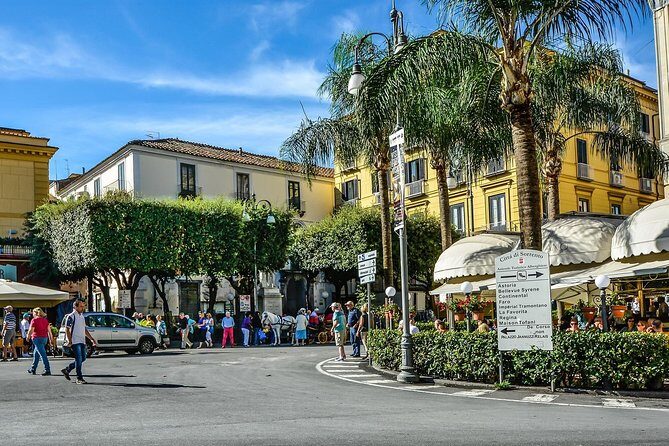 Private Transfer from Sorrento or Amalfi coast to Naples or vice versa - Key Points at a Glance