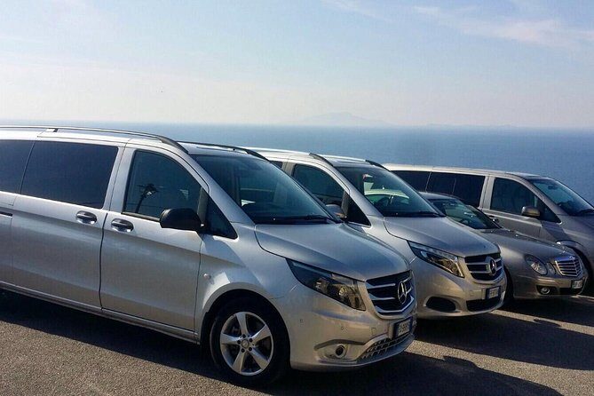 Private Transfer with driver from Naples to Sorrento - Choosing the right vehicle: sedan, minivan, or van