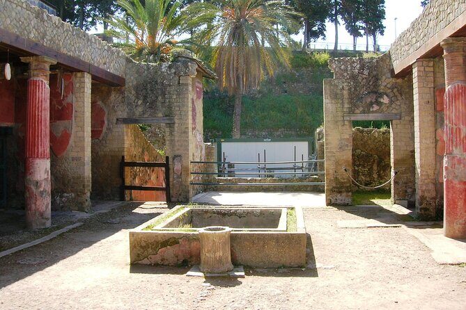 Skip the line Ticket Herculaneum Guided Tour 4 hrs - The real engine of the day: Parco Acheologico Di Ercolano