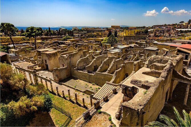 Skip the line Ticket Herculaneum Guided Tour 4 hrs - Getting to Herculaneum: Sorrento or Naples, then straight to the site