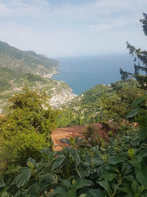Sorrento: Amalfi Coast Sharing Full-day Tour - The driver-guide factor: the stories and the smooth driving