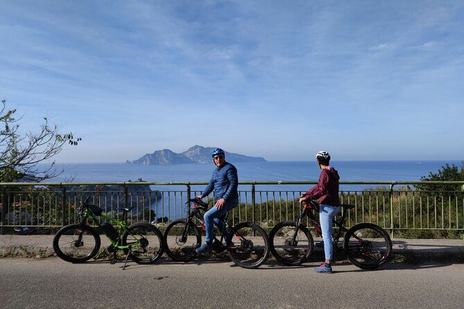 Sorrento: at the Vivaio by E-Bike with Limoncello Tasting - Lemon Nursery Stop in Massa Lubrense: Learning Seed to Fruit