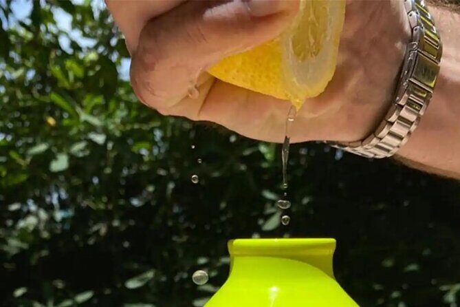 Sorrento: Authentic Lemon Experience at a Farm with Tastings - How the timing fits your day along the Sorrento Coast