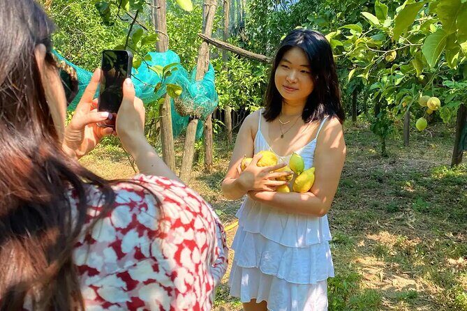 Sorrento: Authentic Lemon Experience at a Farm with Tastings - Price and value: is $77.44 per person worth it?