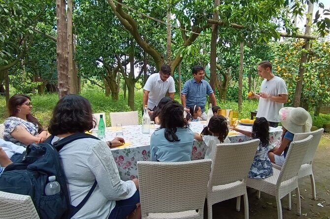 Sorrento: Authentic Lemon Experience at a Farm with Tastings - Who this Sorrento lemon farm tour suits best