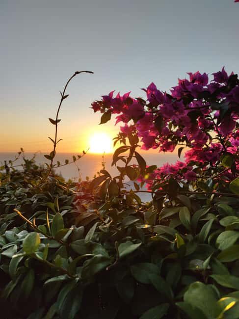 Sorrento Coast Sunset E-Bike Tour - Why This Sorrento Sunset Ride Works