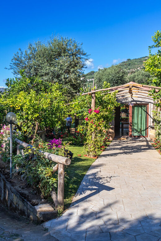 Sorrento Cooking Class: Taste the Tradition feel the Love - A Sorrento cooking class where the setting does half the work