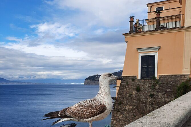 Sorrento grand tour off the beaten track with breathtaking landscapes - Marina Grande and the Antico Borgo Marinaro: fishermen details plus Vesuvius