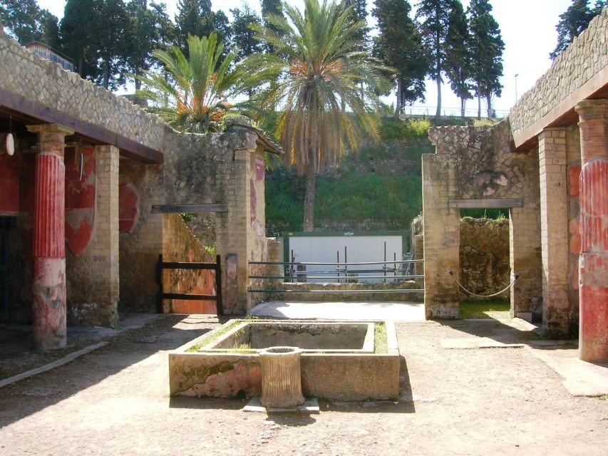 Sorrento: Herculaneum Day Trip with Entry and Lunch - Sorrento departure: the bus ride that can make or break your morning