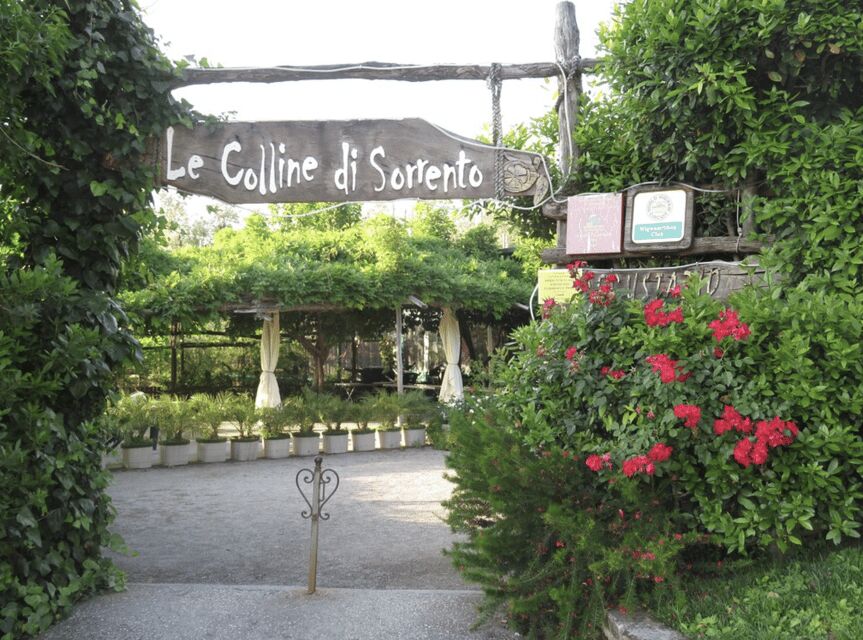 Sorrento: Lemon Garden Guided Tour with Tastings - Lemon Gardens and Family Traditions