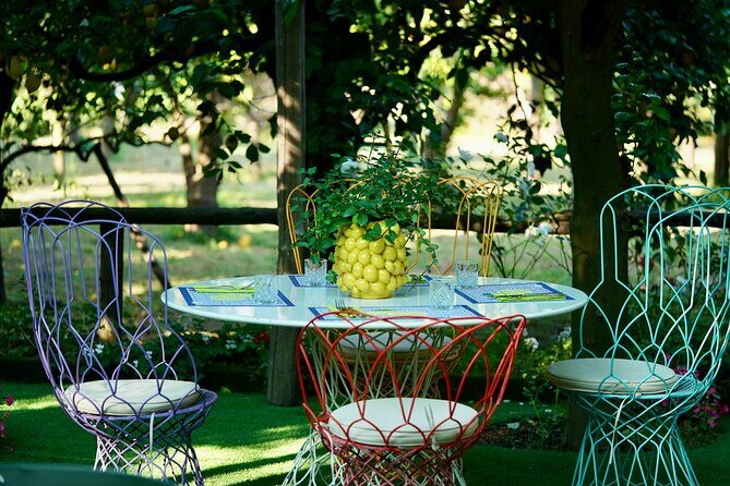 Sorrento Lemon Grove Experience with Local Product Tasting - The 45-minute guided walk: learning Oval lemons the traditional way