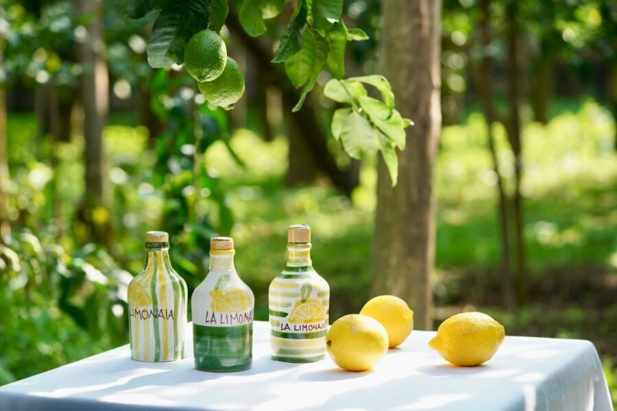 Sorrento Lemon Tour - A few things to watch for