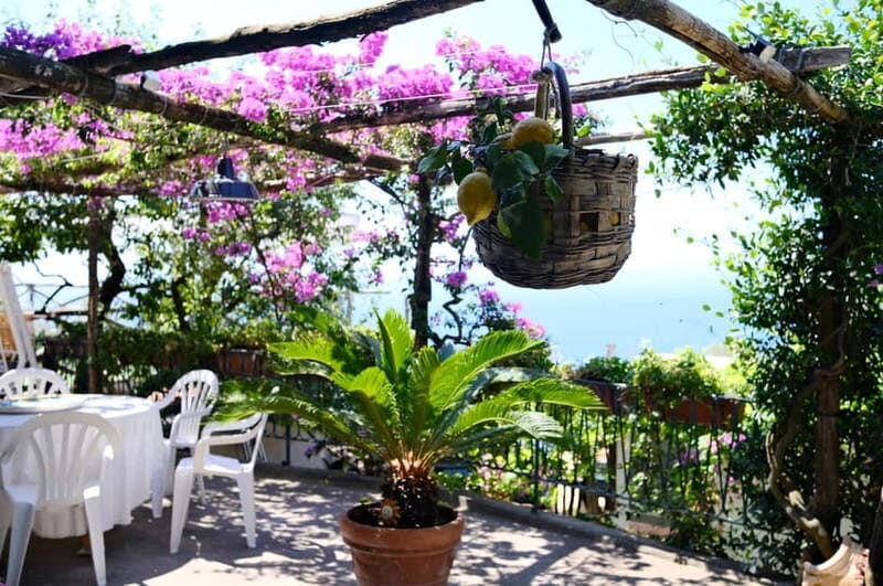 Sorrento: Marì Cooking Class in a Family Farm w/ Coast View - Getting There from Sorrento: The Included Drive to Massa Lubrense