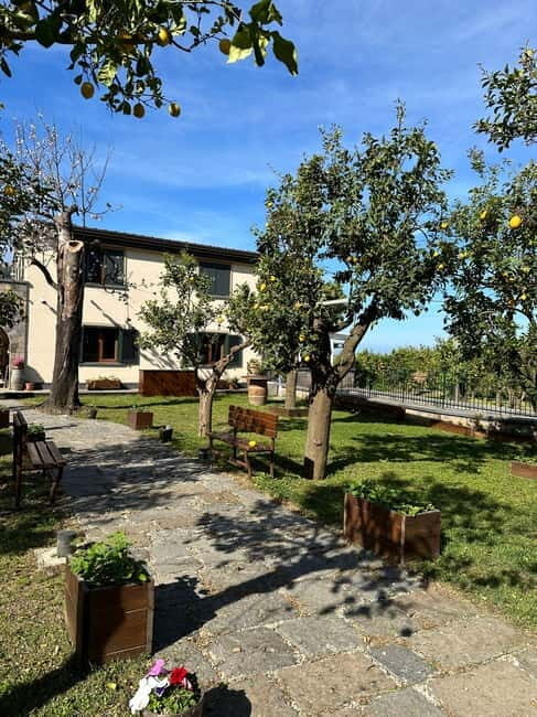 Sorrento: Mozzarella experience. Say CHEESE with us! - Timing and pacing: what a 2-hour tour really delivers