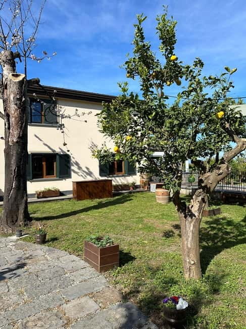 Sorrento: Mozzarella experience. Say CHEESE with us! - Price and value: is $100 per person worth it?