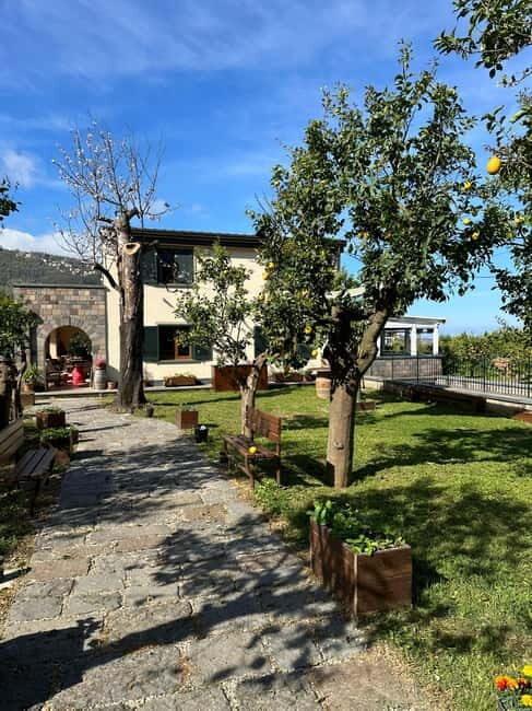 Sorrento: Mozzarella experience. Say CHEESE with us! - What to bring (so the farm part feels easy)