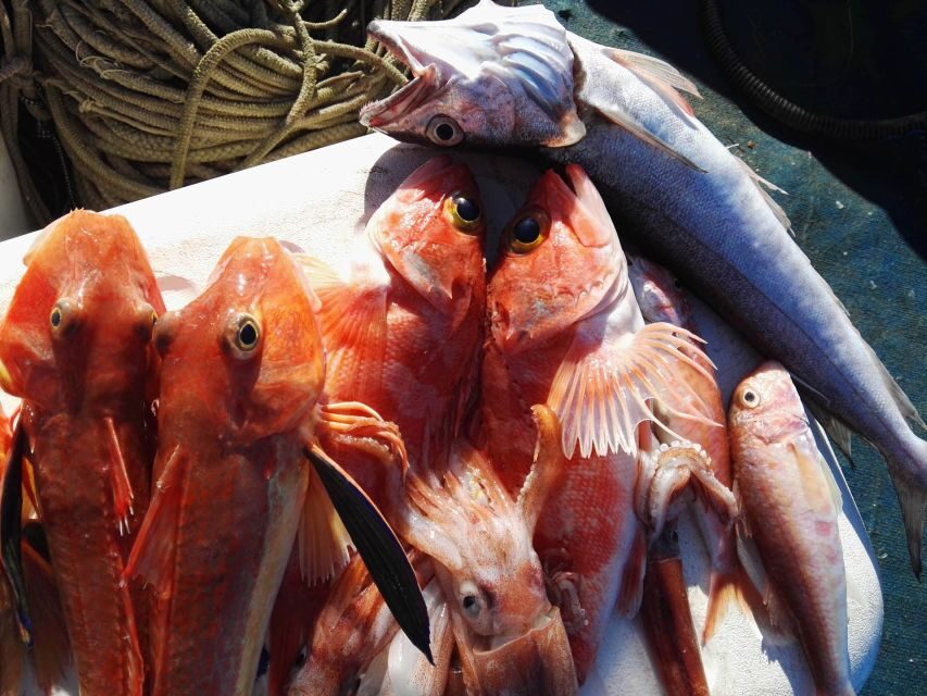 Sorrento: Sea-Fishing Tour with Lunch Onboard - What Fishing Feels Like Here: Multiple Techniques and Real Coaching