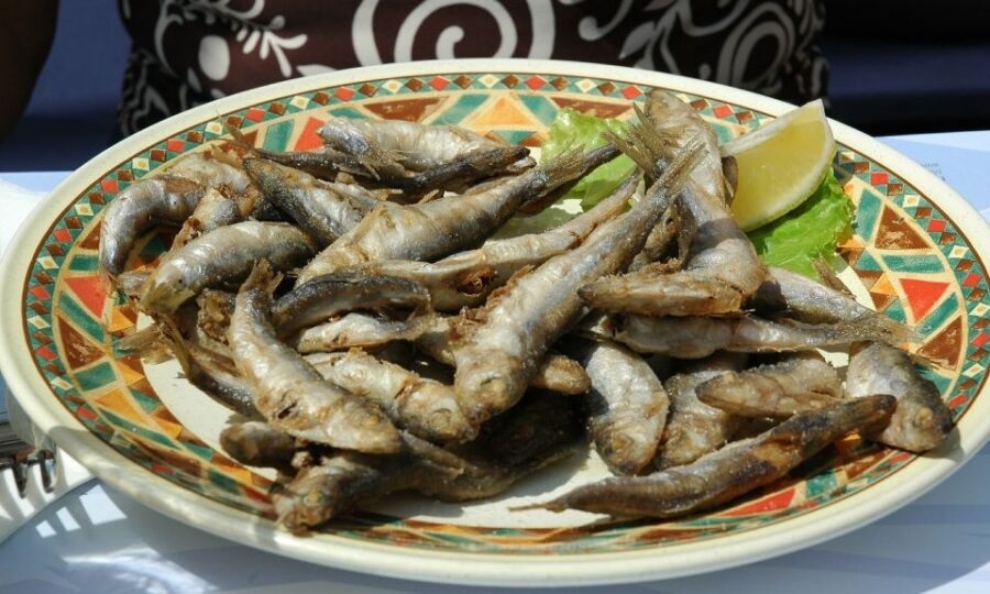 Sorrento: Sea-Fishing Tour with Lunch Onboard - The Fishing Expectation Check: Medium/Small Catch, No Tuna or Swordfish