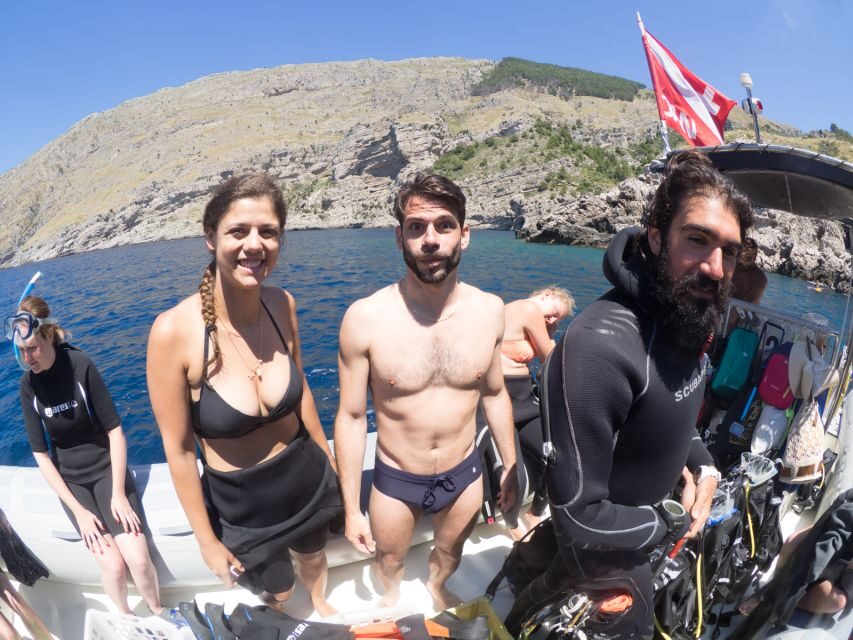 Sorrento: Snorkeling morning tour with a Marine Biologist. - Key things you’ll care about