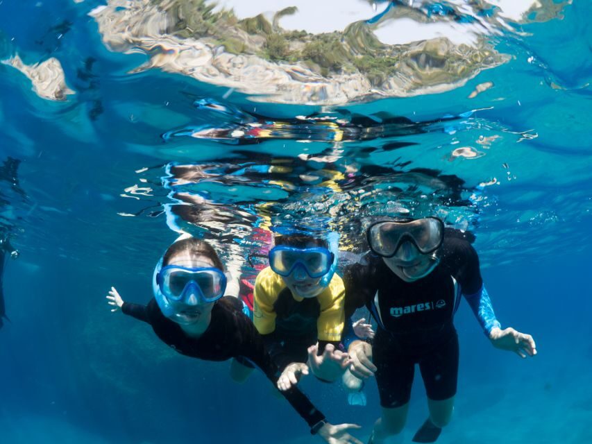 Sorrento: Snorkeling morning tour with a Marine Biologist. - Cruise to the break zone: more coast time, less pressure