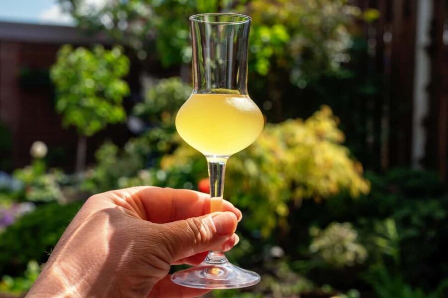 SORRENTO: Sunset Limoncello Making After-Dinner Experience - The lemon garden at sunset: atmosphere, photos, and plant rules